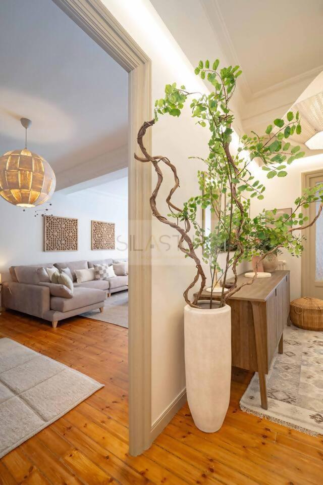 Casa Tierra Angelita By Silastur *